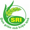 Ảnh hưởng của lượng giống gieo đến NS một s?giống lúa trong điều kiện thâm canh lúa cải tiến SRI